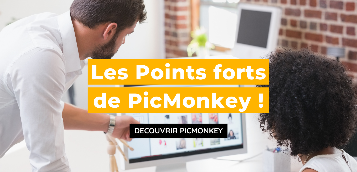 PicMonkey - Business Tools Review - Points forts